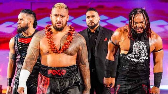 New Bloodline New Bloodline