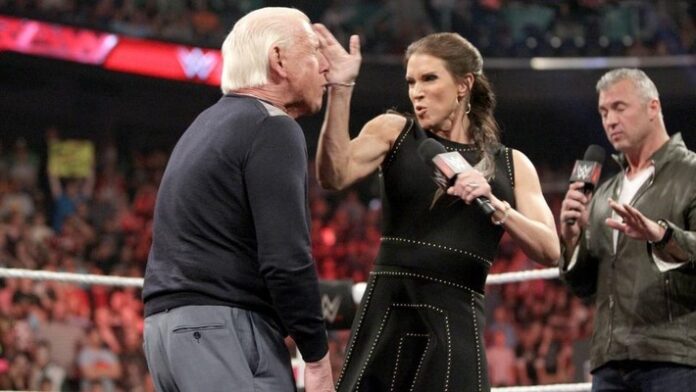 Stephanie McMahon slapping
