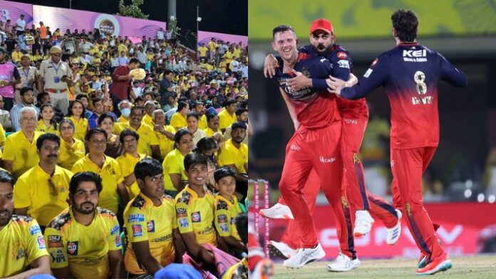 Csk fans and RCB Csk fans and RCB