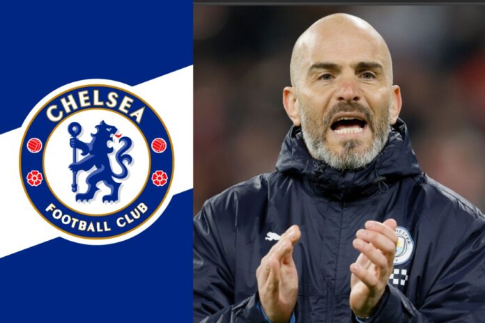 MixCollage-10-May-2025-04-07-PM-5793 Chelsea